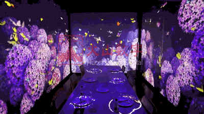 蝴蝶和鲜花为主题的全息餐厅动态图